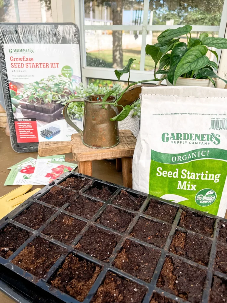 seed starting southern home and farm